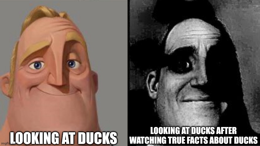 What the duck?!! | LOOKING AT DUCKS; LOOKING AT DUCKS AFTER WATCHING TRUE FACTS ABOUT DUCKS | image tagged in traumatized mr incredible | made w/ Imgflip meme maker