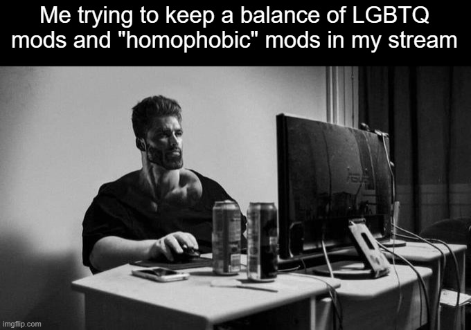 Some of the good mods are homophobic so I decided to balance it out | Me trying to keep a balance of LGBTQ mods and "homophobic" mods in my stream | image tagged in gigachad on the computer | made w/ Imgflip meme maker