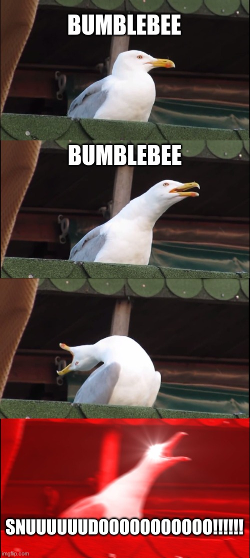 it's true ((fax)) | BUMBLEBEE; BUMBLEBEE; SNUUUUUUDOOOOOOOOOOO!!!!!! | image tagged in memes,inhaling seagull | made w/ Imgflip meme maker