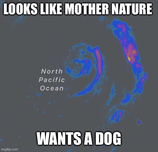 :) | LOOKS LIKE MOTHER NATURE; WANTS A DOG | image tagged in epic,mother nature | made w/ Imgflip meme maker