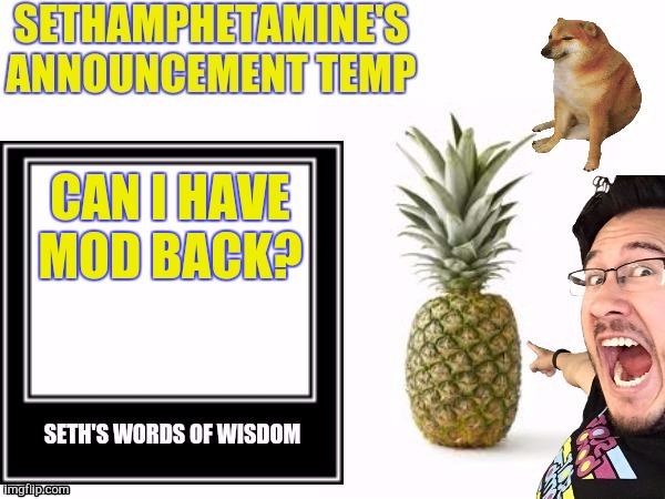 Seth's announcement temp | CAN I HAVE MOD BACK? | image tagged in seth's announcement temp | made w/ Imgflip meme maker