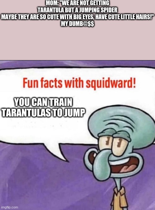 I don't think that helps my argument lol | MOM: "WE ARE NOT GETTING TARANTULA BUT A JUMPING SPIDER MAYBE THEY ARE SO CUTE WITH BIG EYES, HAVE CUTE LITTLE HAIRS!"
MY DUMB@$$; YOU CAN TRAIN TARANTULAS TO JUMP | image tagged in fun facts with squidward,dumb ways to die | made w/ Imgflip meme maker