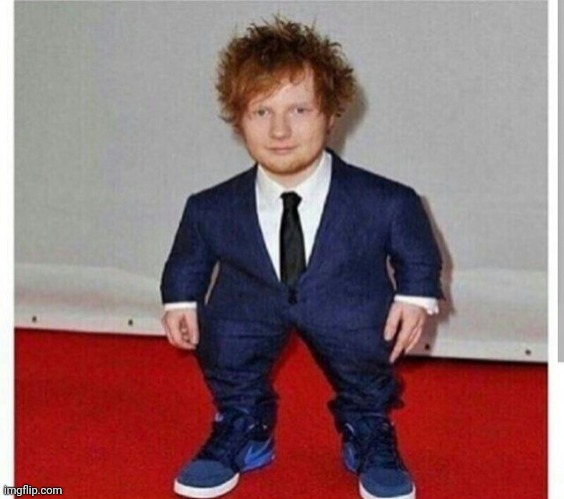 Short Ed Sheeran | image tagged in short ed sheeran | made w/ Imgflip meme maker