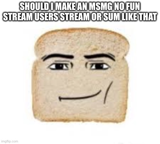 man face bread | SHOULD I MAKE AN MSMG NO FUN STREAM USERS STREAM OR SUM LIKE THAT | image tagged in man face bread | made w/ Imgflip meme maker