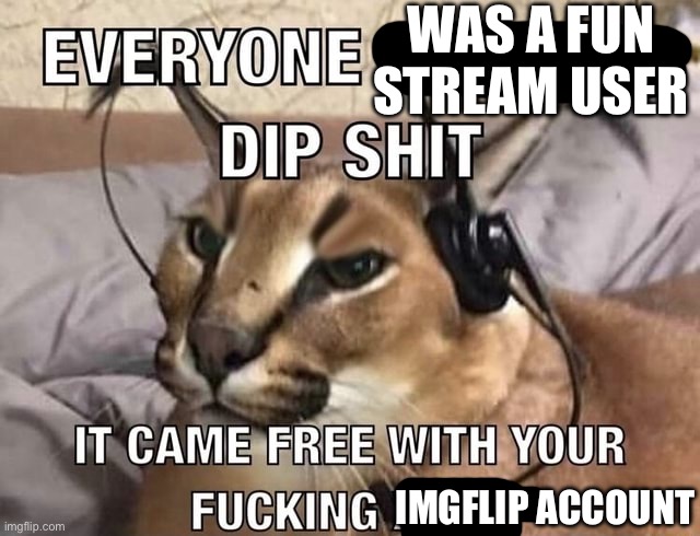 “Repost if you were a fun stream user” | WAS A FUN STREAM USER; IMGFLIP ACCOUNT | image tagged in everyone has x dip shit | made w/ Imgflip meme maker