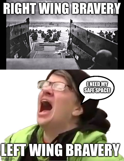 RIGHT WING BRAVERY; I NEED MY SAFE SPACE! LEFT WING BRAVERY | image tagged in d-day omaha beach,screaming liberal | made w/ Imgflip meme maker