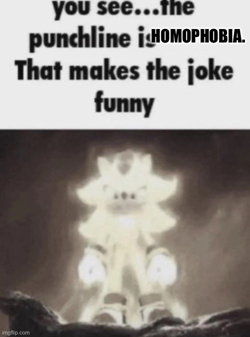 You see the punchline is that makes the joke funny shadow | HOMOPHOBIA. | image tagged in you see the punchline is that makes the joke funny shadow | made w/ Imgflip meme maker