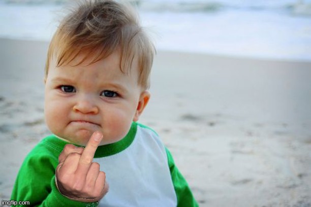 Success Kid Original Meme | image tagged in memes,success kid original | made w/ Imgflip meme maker