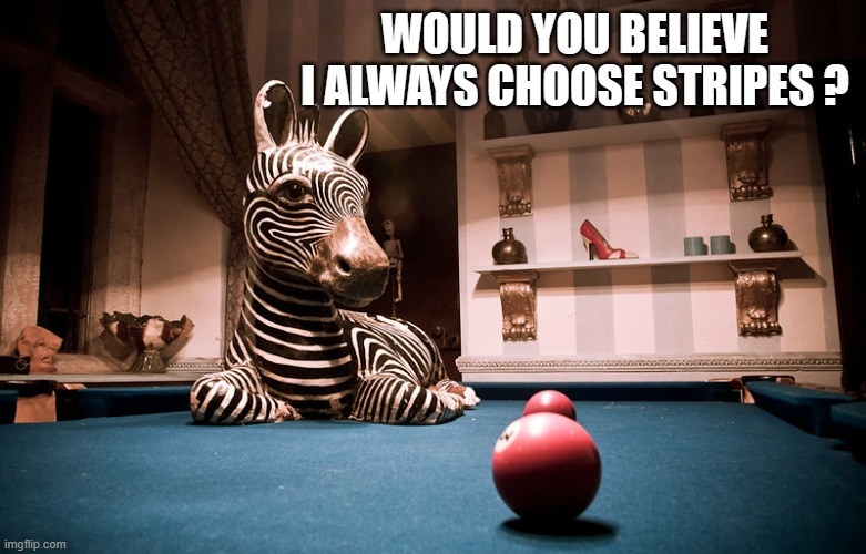 memes by Brad - zebra playing pool - humor | WOULD YOU BELIEVE I ALWAYS CHOOSE STRIPES ? | image tagged in funny,sports,pool,zebra,funny meme,humor | made w/ Imgflip meme maker