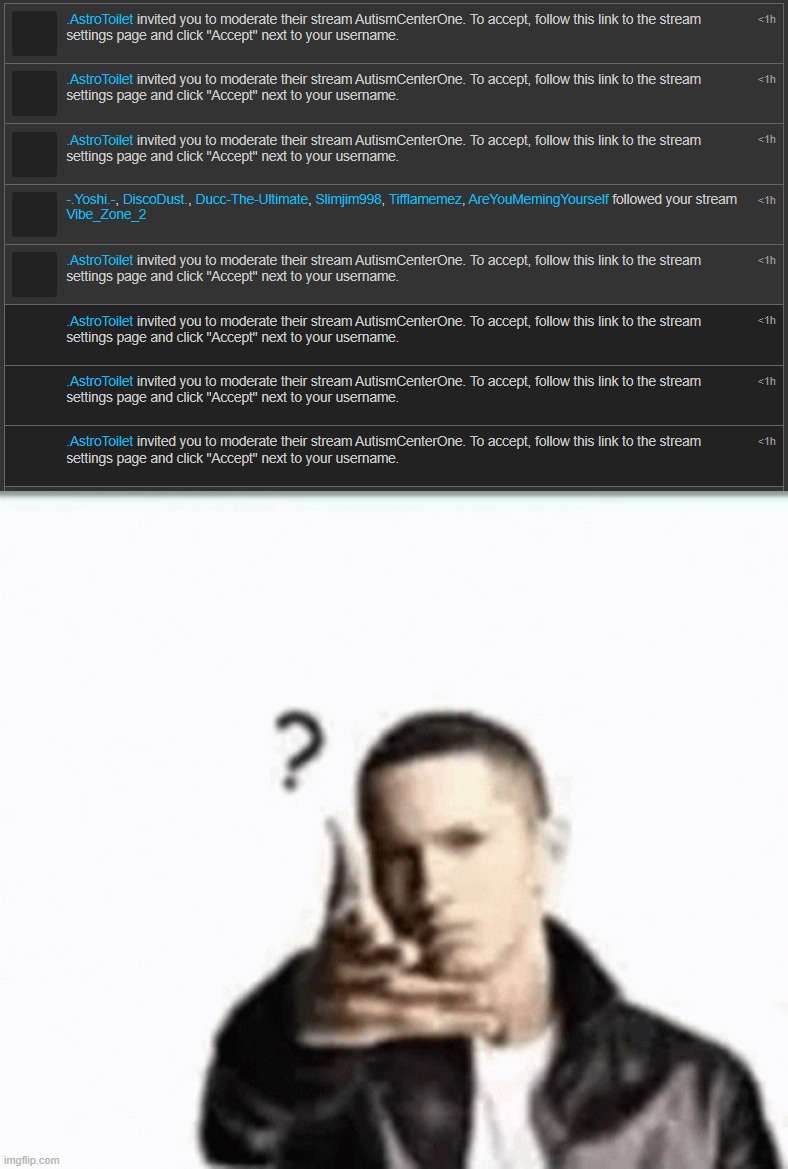 image tagged in eminem question mark | made w/ Imgflip meme maker