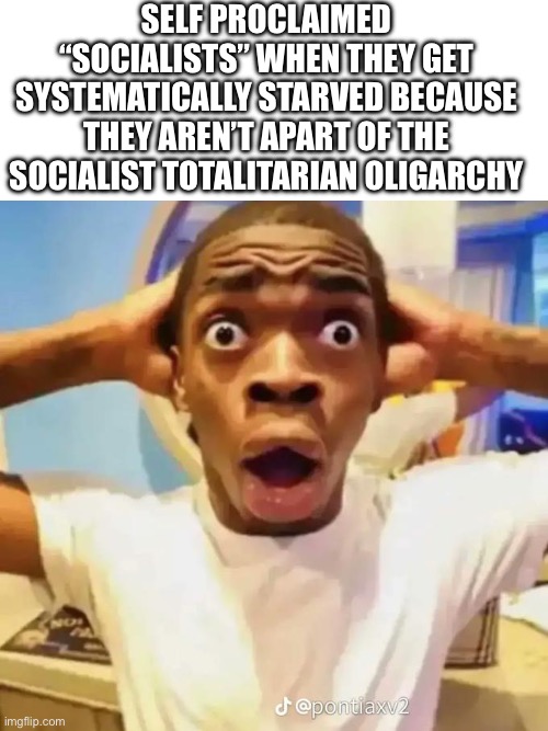 Communism sucks | SELF PROCLAIMED “SOCIALISTS” WHEN THEY GET SYSTEMATICALLY STARVED BECAUSE THEY AREN’T APART OF THE SOCIALIST TOTALITARIAN OLIGARCHY | image tagged in blank white template,shocked black guy | made w/ Imgflip meme maker