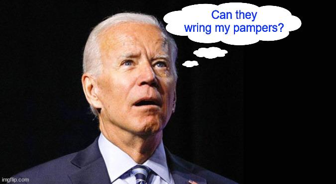 Confused joe biden | Can they wring my pampers? | image tagged in confused joe biden | made w/ Imgflip meme maker
