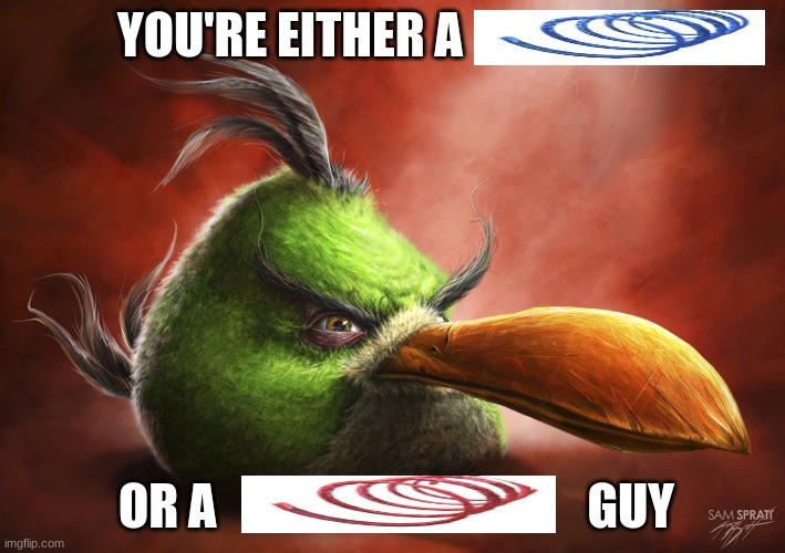 Realistic Angry Bird | YOU'RE EITHER A; OR A                                      GUY | image tagged in realistic angry bird | made w/ Imgflip meme maker