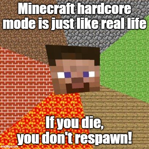 Minecraft Steve | Minecraft hardcore mode is just like real life; If you die, you don't respawn! | image tagged in minecraft steve | made w/ Imgflip meme maker