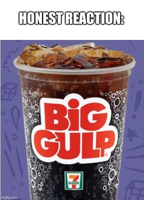 Big Gulp #3 | HONEST REACTION: | image tagged in big gulp 3 | made w/ Imgflip meme maker