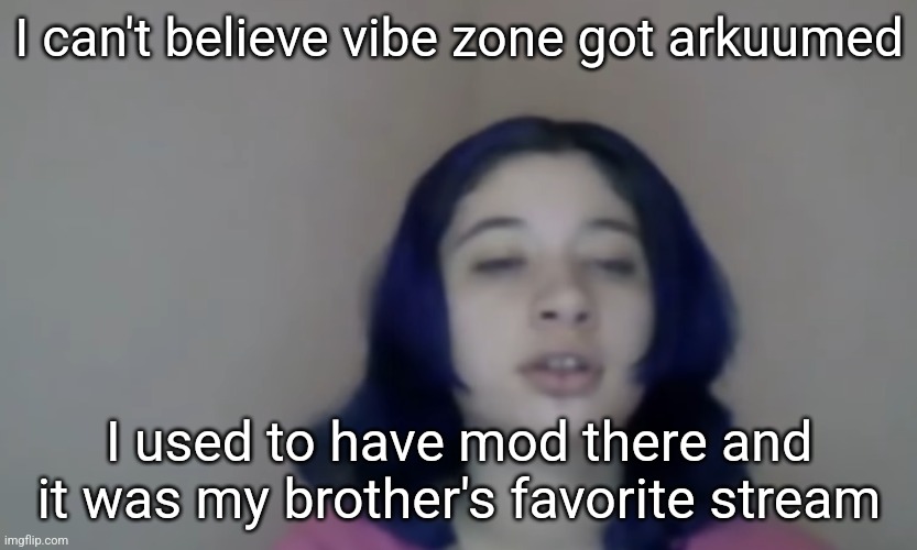 Guh | I can't believe vibe zone got arkuumed; I used to have mod there and it was my brother's favorite stream | image tagged in fortnit ninja | made w/ Imgflip meme maker