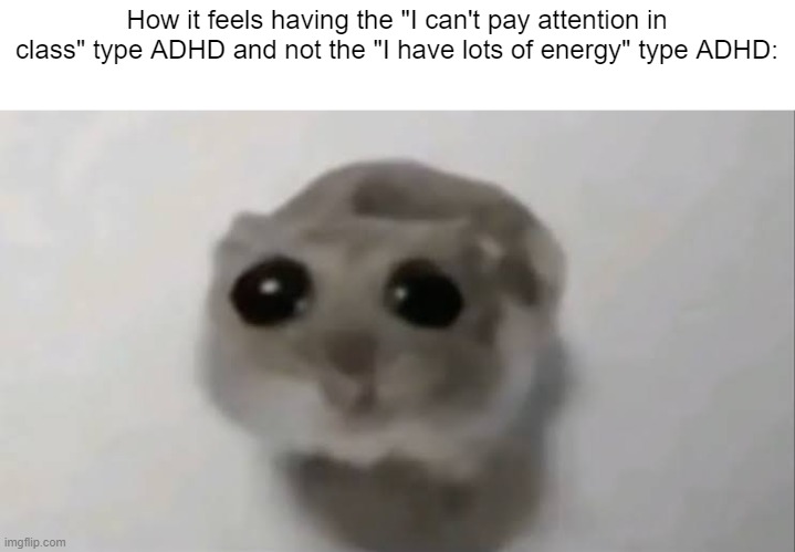 Sad Hamster | How it feels having the "I can't pay attention in class" type ADHD and not the "I have lots of energy" type ADHD: | made w/ Imgflip meme maker