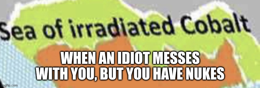 Sea of irradiated cobalt | WHEN AN IDIOT MESSES WITH YOU, BUT YOU HAVE NUKES | image tagged in sea of irradiated cobalt | made w/ Imgflip meme maker