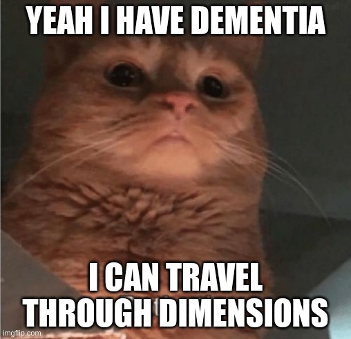 Pathetic Cat | YEAH I HAVE DEMENTIA; I CAN TRAVEL THROUGH DIMENSIONS | image tagged in pathetic cat | made w/ Imgflip meme maker