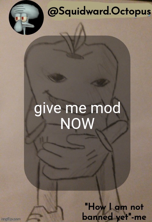dingus | give me mod

NOW | image tagged in dingus | made w/ Imgflip meme maker
