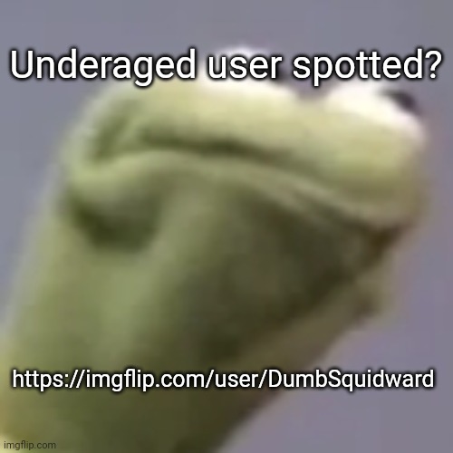 Hmmm kermit | Underaged user spotted? https://imgflip.com/user/DumbSquidward | image tagged in hmmm kermit | made w/ Imgflip meme maker