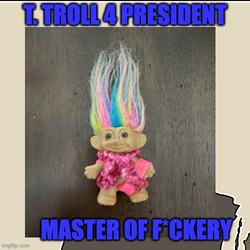 T. TROLL FOR PRESIDENT 2024 | T. TROLL 4 PRESIDENT; MASTER OF F*CKERY | image tagged in memes,look at me | made w/ Imgflip meme maker