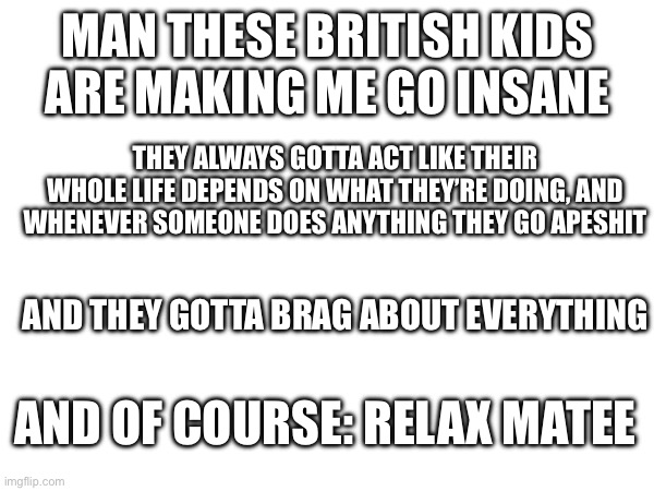 sorry to the chill British people but holy fuck | MAN THESE BRITISH KIDS ARE MAKING ME GO INSANE; THEY ALWAYS GOTTA ACT LIKE THEIR WHOLE LIFE DEPENDS ON WHAT THEY’RE DOING, AND WHENEVER SOMEONE DOES ANYTHING THEY GO APESHIT; AND THEY GOTTA BRAG ABOUT EVERYTHING; AND OF COURSE: RELAX MATEE | made w/ Imgflip meme maker