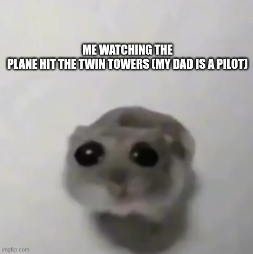 sad hamster | ME WATCHING THE PLANE HIT THE TWIN TOWERS (MY DAD IS A PILOT) | image tagged in sad hamster,9/11,memes,dark humor | made w/ Imgflip meme maker