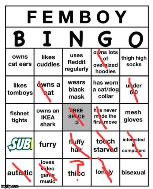 …TF DOES THIS MEAN?! | image tagged in femboy bingo | made w/ Imgflip meme maker