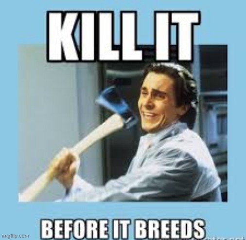 Kill It | image tagged in repost | made w/ Imgflip meme maker