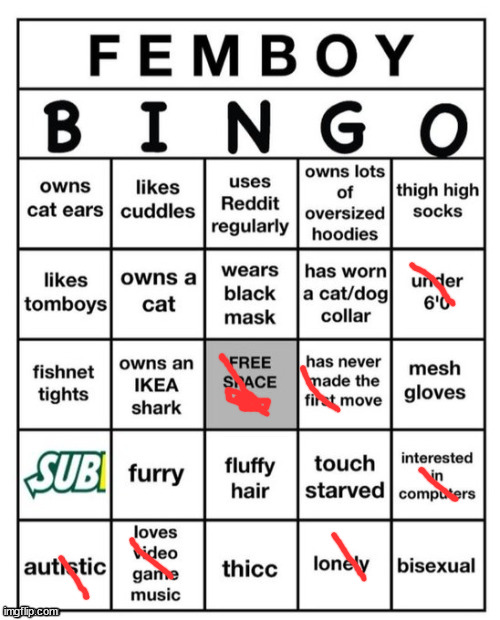 I have explanations | image tagged in femboy bingo | made w/ Imgflip meme maker