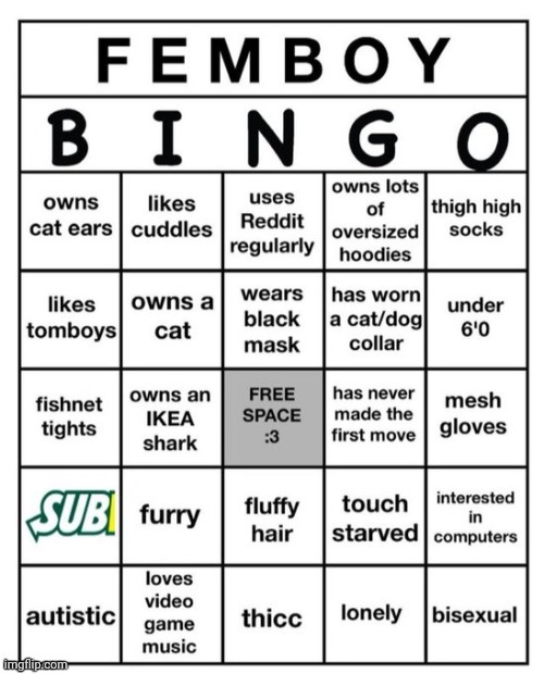 Guess I lost :) | image tagged in femboy bingo | made w/ Imgflip meme maker