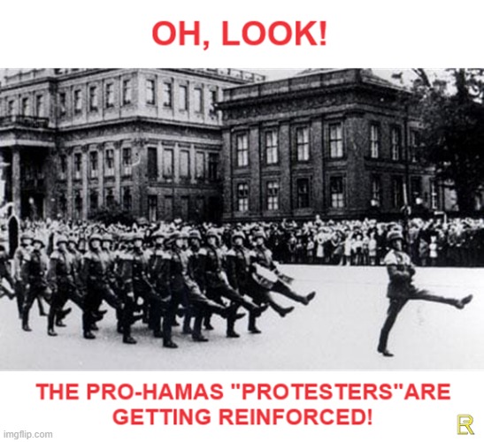 Pro-Hamas Reinforcements (p3) | image tagged in nazis,retarded liberal protesters | made w/ Imgflip meme maker