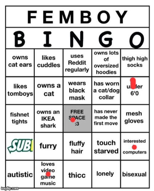 whoops I'm not a femboy | image tagged in femboy bingo | made w/ Imgflip meme maker