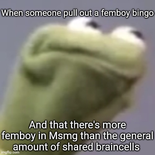 Hmmm kermit | When someone pull out a femboy bingo; And that there's more femboy in Msmg than the general amount of shared braincells | image tagged in hmmm kermit | made w/ Imgflip meme maker