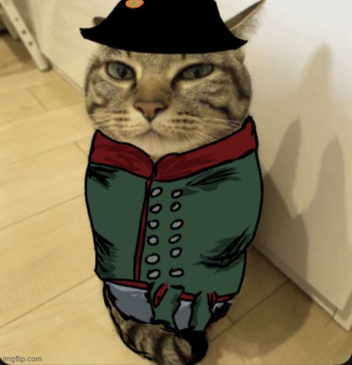 Day 8 of cats in guts and blackpowder uniforms | image tagged in roblox,memes,cats,uniform | made w/ Imgflip meme maker