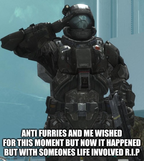 ANTI FURRIES AND ME WISHED FOR THIS MOMENT BUT NOW IT HAPPENED BUT WITH SOMEONES LIFE INVOLVED R.I.P | image tagged in odst salute | made w/ Imgflip meme maker