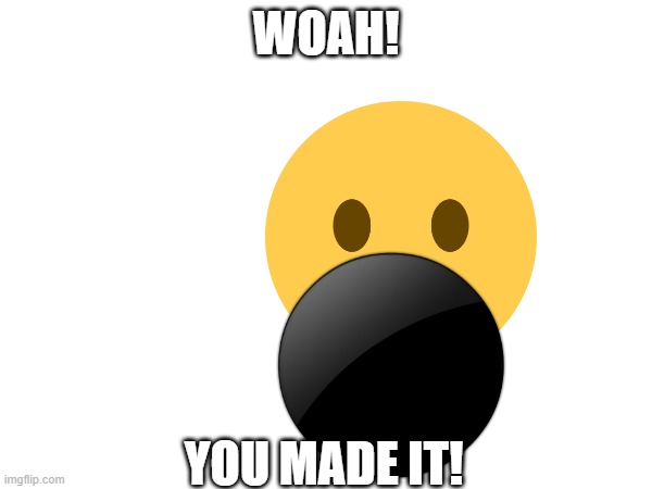 whoa u made it | WOAH! YOU MADE IT! | image tagged in oh wow are you actually reading these tags | made w/ Imgflip meme maker
