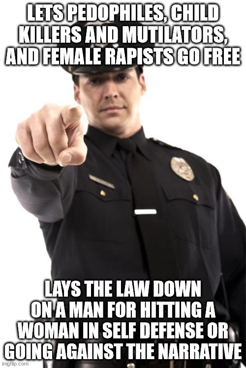 Police | LETS PEDOPHILES, CHILD KILLERS AND MUTILATORS, AND FEMALE RAPISTS GO FREE; LAYS THE LAW DOWN ON A MAN FOR HITTING A WOMAN IN SELF DEFENSE OR GOING AGAINST THE NARRATIVE | image tagged in police | made w/ Imgflip meme maker