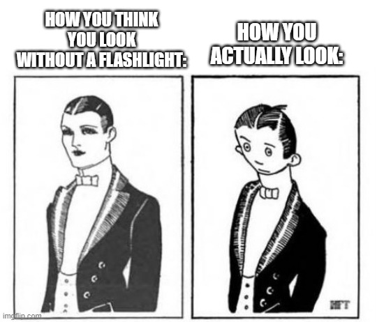 I properly remade the first meme ever. | HOW YOU THINK YOU LOOK WITHOUT A FLASHLIGHT:; HOW YOU ACTUALLY LOOK: | image tagged in first ever meme | made w/ Imgflip meme maker