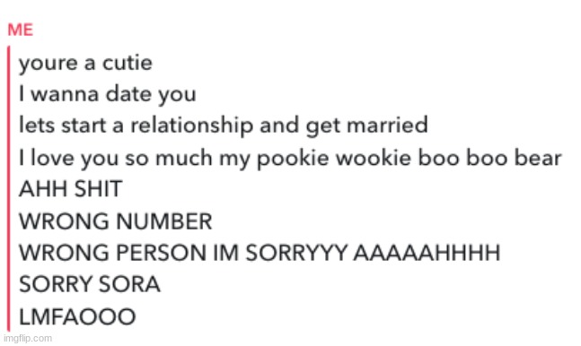 I SENT THIS TO THE WRONG PERSON AAAHHH | made w/ Imgflip meme maker