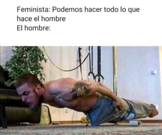 8qfqpv.jpg