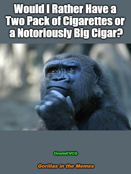 Gorillas in the Memes | Would I Rather Have a 

Two Pack of Cigarettes or 

a Notoriously Big Cigar? OzwinEVCG; Gorillas in the Memes | image tagged in deep thoughts,memes,smoking,animals,hip hop,decisions | made w/ Imgflip meme maker