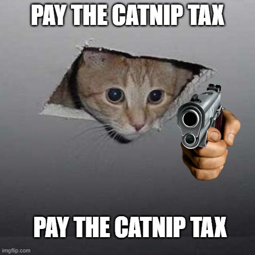 Ceiling Cat Meme | PAY THE CATNIP TAX; PAY THE CATNIP TAX | image tagged in memes,ceiling cat,cat with gun | made w/ Imgflip meme maker