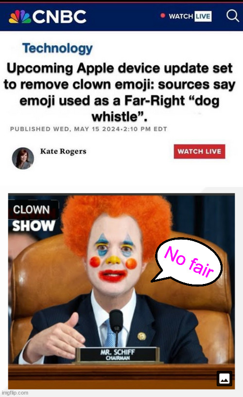 Libs just can't handle the truth | No fair | image tagged in shifty schiff clown show,libs,can not handle,the truth,whiny clowns | made w/ Imgflip meme maker