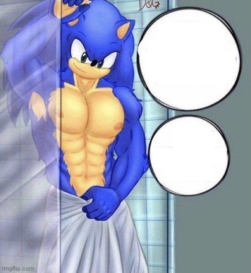High Quality Sonic Shower Blank Meme Template