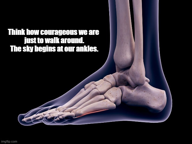 "Think How Courageous We Are. The Sky..." | Think how courageous we are 
just to walk around.
The sky begins at our ankles. | image tagged in courage,courageous,the sky | made w/ Imgflip meme maker