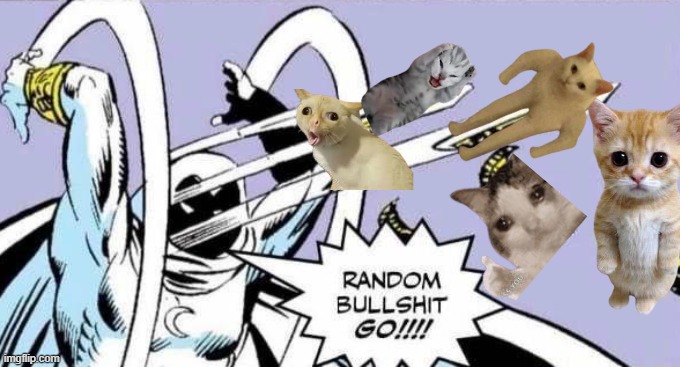 cat chaos | image tagged in random bullshit go | made w/ Imgflip meme maker