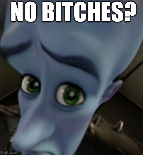 I couldn’t find the original for some reason | NO BITCHES? | image tagged in megamind no bitches | made w/ Imgflip meme maker