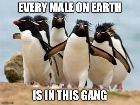 Penguin Gang | EVERY MALE ON EARTH; IS IN THIS GANG | image tagged in memes,penguin gang | made w/ Imgflip meme maker
